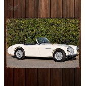 Металлическая табличка Austin Healey 100M Le Mans Roadster